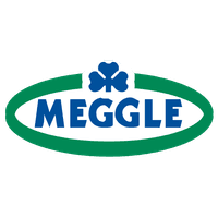 Logo Meggle